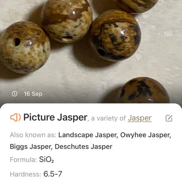 Genuine Yellow Picture Jasper Short Necklace, Bronze Round Mushroom + Gemstone - Picture 14 of 15